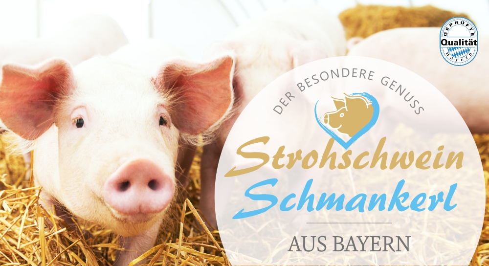 Strohschwein Fleisch aus Bayern